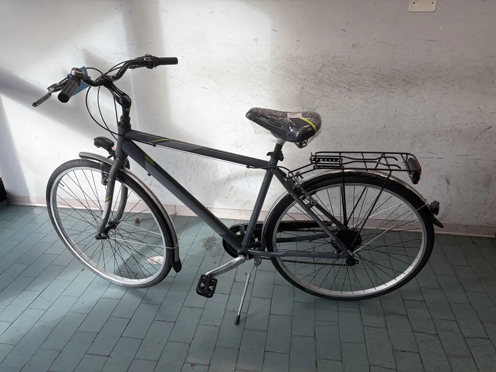 City bike da uomo grigia con portapacchi